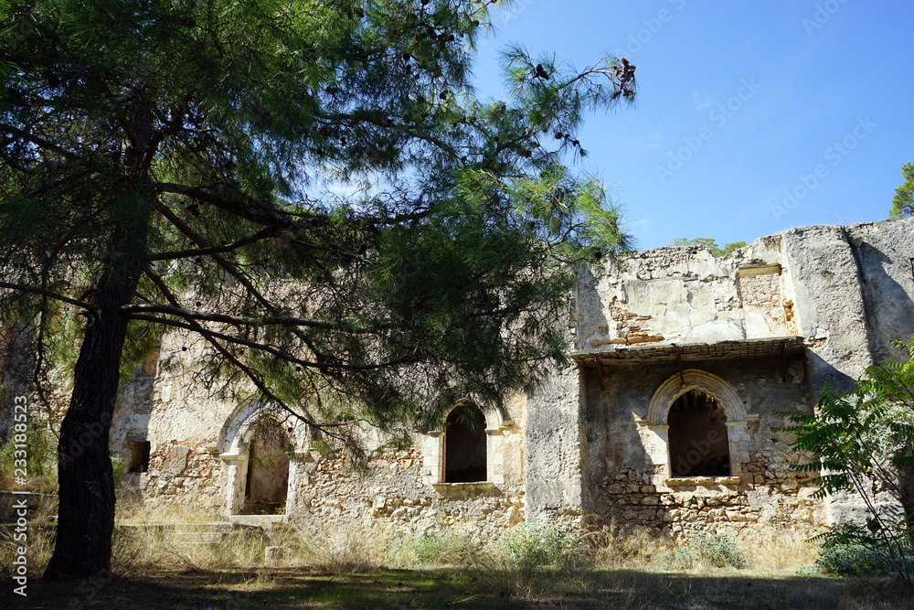 Ruins of monastery