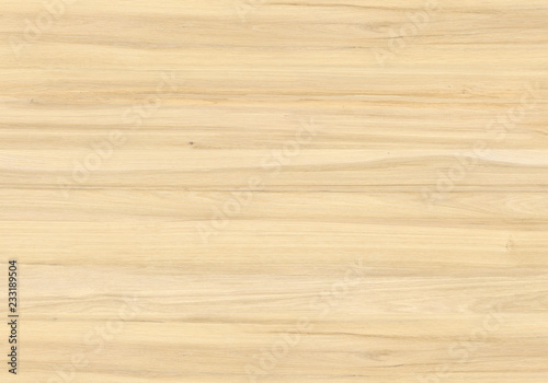 Fototapeta Naklejka Na Ścianę i Meble -  Texture of wood background closeup