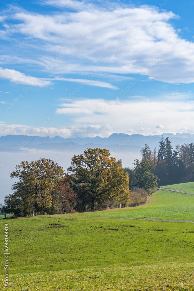 Wanderweg entlang eines Feldes mit Blick auf die Schweizer Alpen