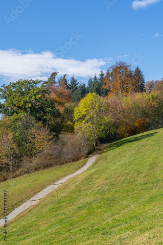 Herbstlich verfärbte Bäume an einem Wanderweg