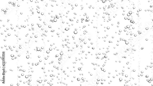 Animation of soda bubbles in water isolated on white background. Looping animation.
