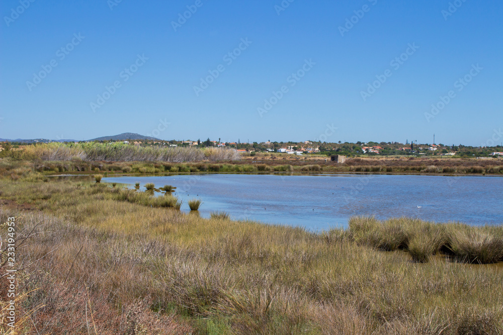 National Park Ria Formosa in Algarve, Portugal National Park Ria Formosa in Algarve, Portugal