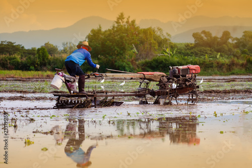 Farm worker ploughs countryside field in thailand while cattle egret hover in search of insects