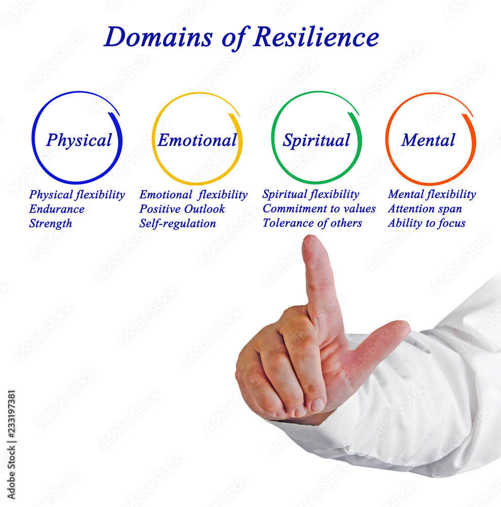Domains of Resilience..