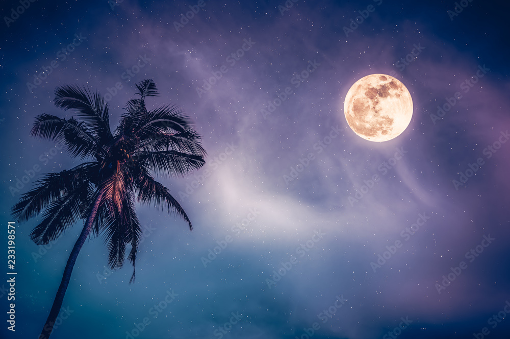 Landscape of sky and full moon with many stars behind coconut palm tree