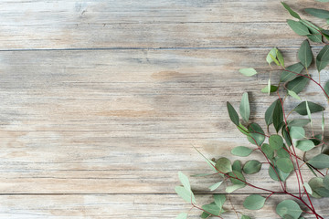Modern christmas composition. X-mas card. New Year card. Winter holiday gift, eucalyptus on modern background. Flat lay, top view, copy space