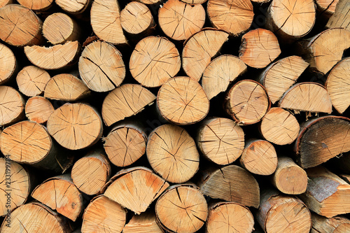 Firewood pile stacked chopped wood trunks