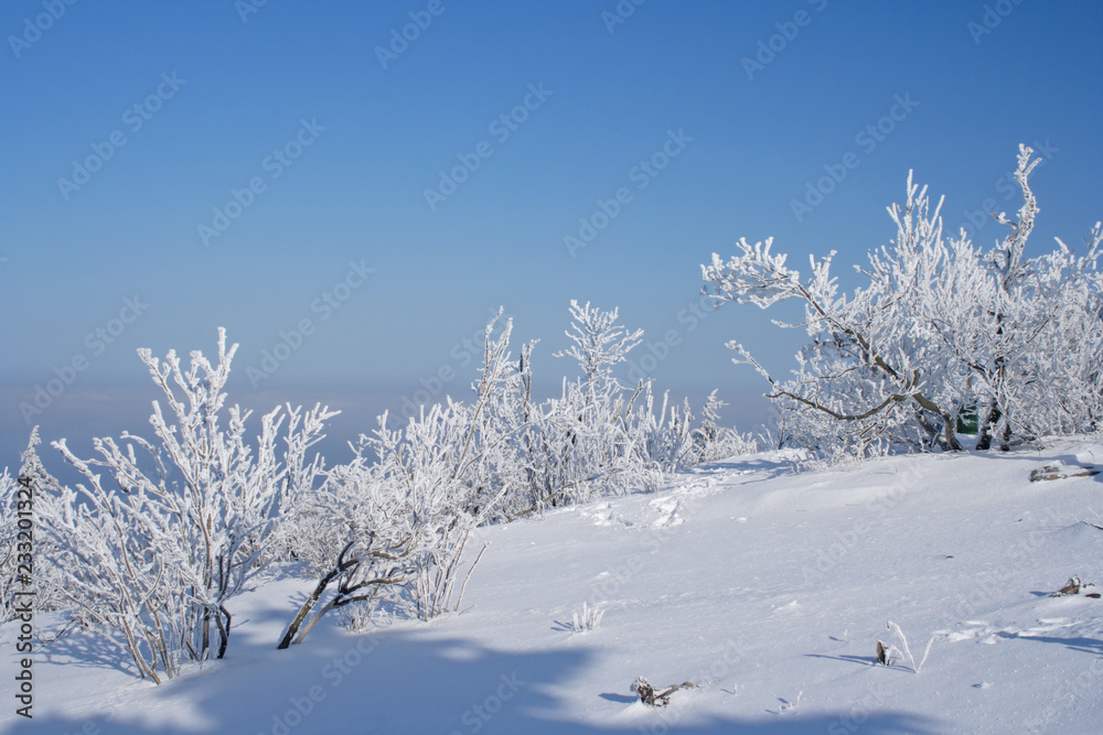 Winter landscape on the Feldberg in the Taunus, Germany.