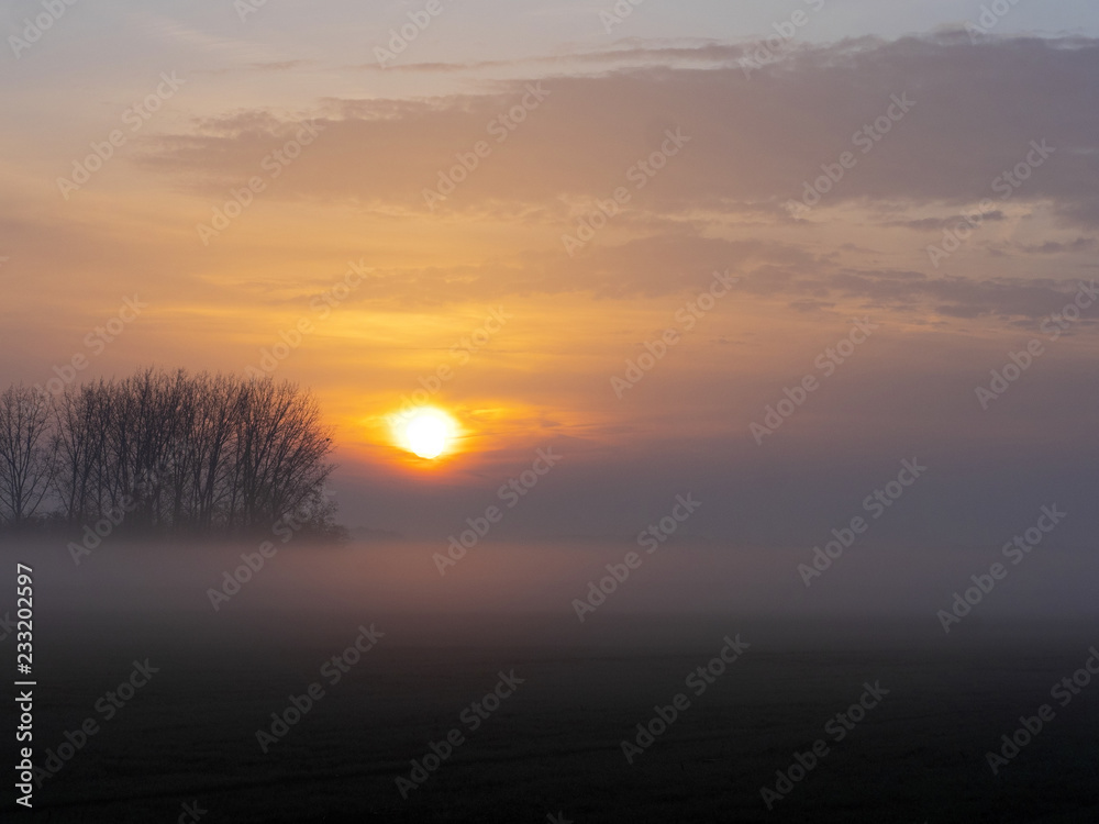 Fototapeta premium Morning fog at sunrise inn Hortobágy National Park, Hungary