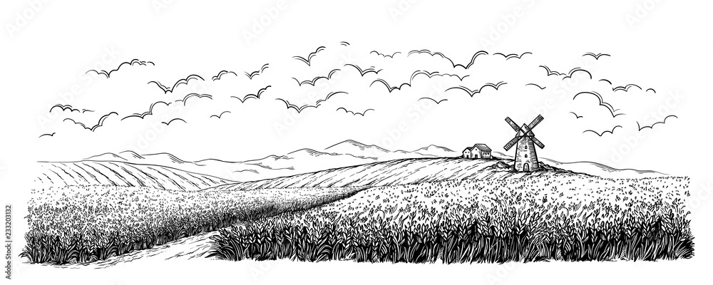 rural field with ripe wheat on background of mill, village and clouds. vector illustration - obrazy, fototapety, plakaty 