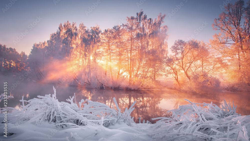 Winter scenery at sunrise - obrazy, fototapety, plakaty 
