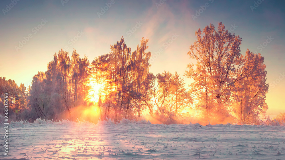 Fototapeta Boże Narodzenie tle przyrody. Zimowy krajobraz w słońcu