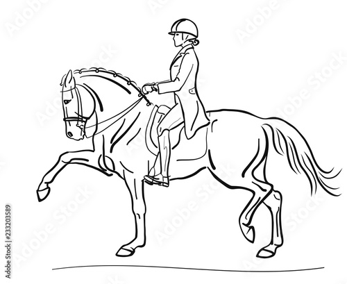 A dressage rider on a big mover horse.