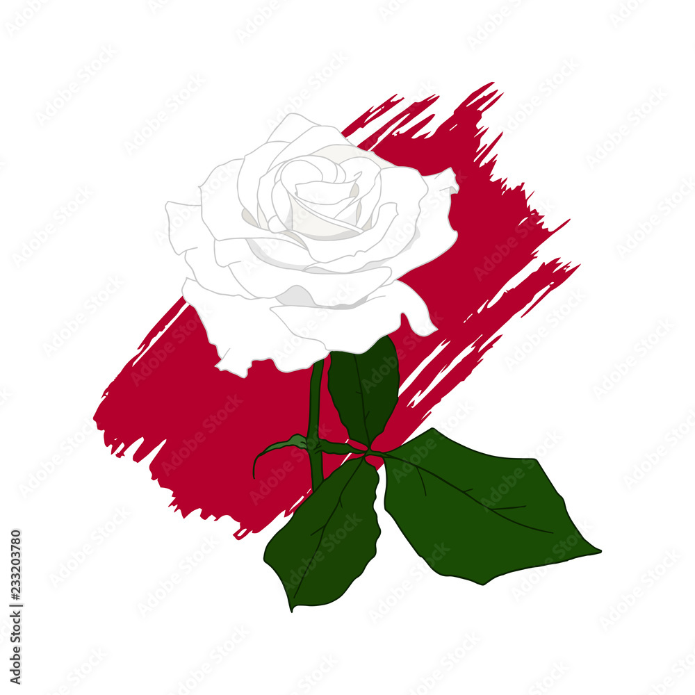 White Rose. Hand drawn flower of rose and red brush stroke isolated on white  background. Symbol of love, decoration element for wedding, Valentine's  day, print, icon. Sketch style, vector. Stock Vector