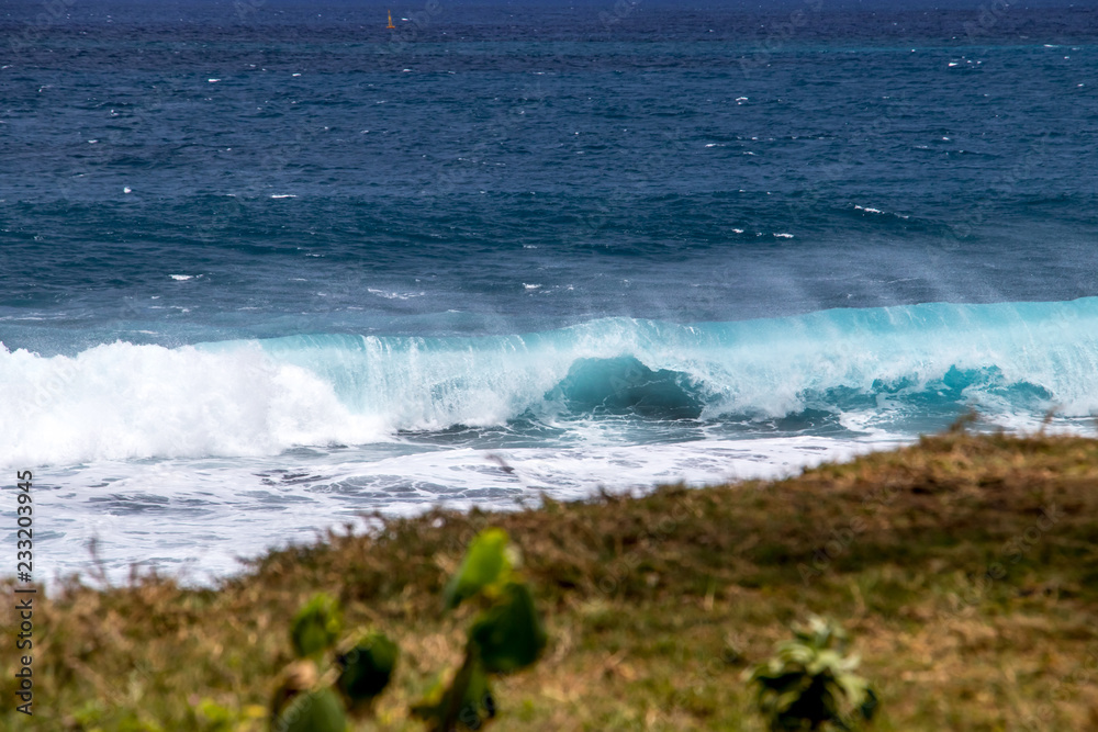 Vague et houle
Vague - océan Indien - Ile de la Réunion