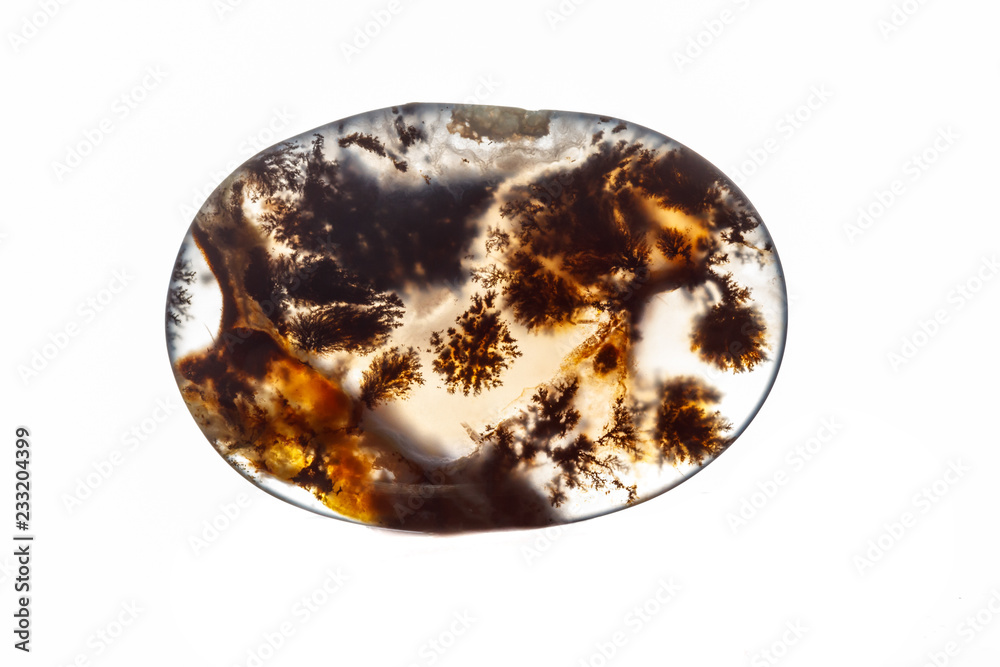 Macro mineral stone Moss Agate, Agata muschiataan white Macro mineral stone Moss Agate, Agata muschiataan white