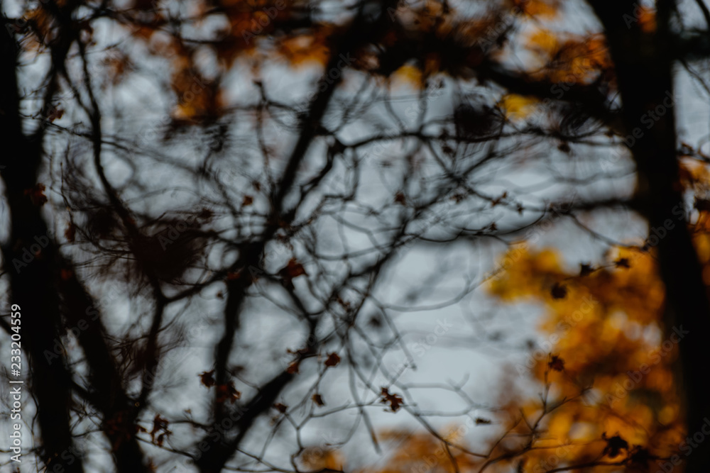Abstract natural bokeh background. Abstract natural bokeh background.
