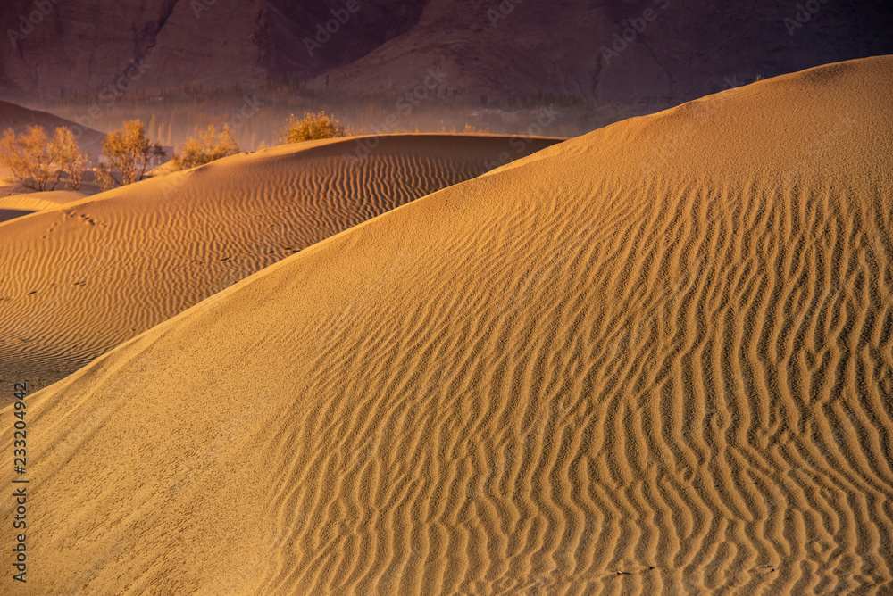 Naklejka premium Sand desert at skardu. Northern Area Pakistan