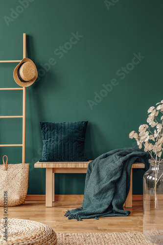 Pillow and blanket on bench in green apartment interior with plant, pouf and hat on ladder. Real photo photo