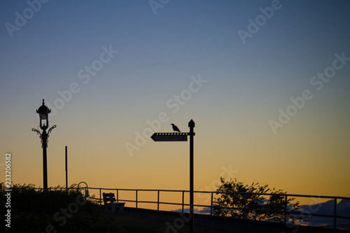 Raven on a sign