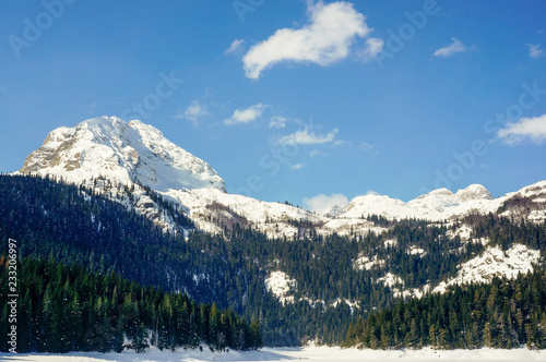 Snow covered mountain peaks and a pine forest. Winter landscape in Durmitor National Park, Montenegro. 