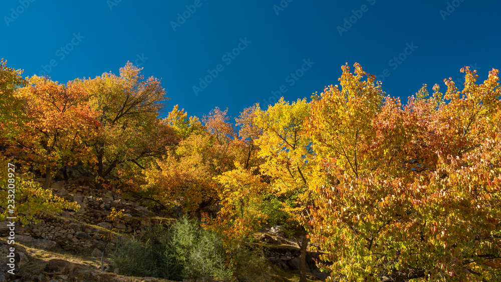 Autumn at Nagar Valley. Northern Area Pakistan