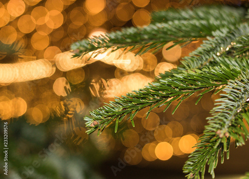 Close-up: green branch of Christmas tree is on blurry background of festive lights of a night city street. Concept: Merry Christmas and Happy New Year holidays.