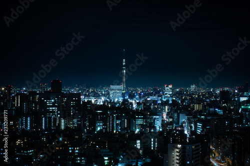 Tokyo night view with Tokyo Skytree on the background, shot from an observation deck in Bunkyo district photo
