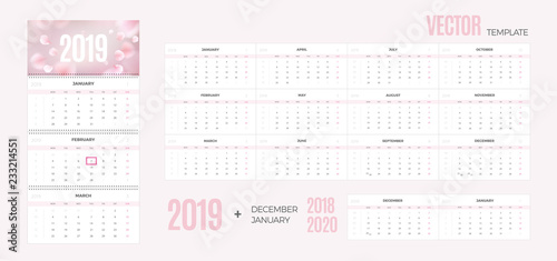 Wall Monthly Calendar 2019 year. Vector colorful template