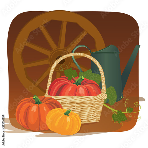 Garden harvest with vegetables and different gardening equipment, tools. Vector illustration.