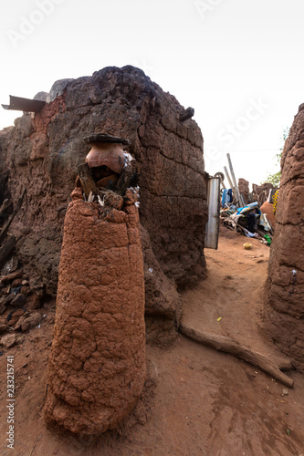 Anthill in village