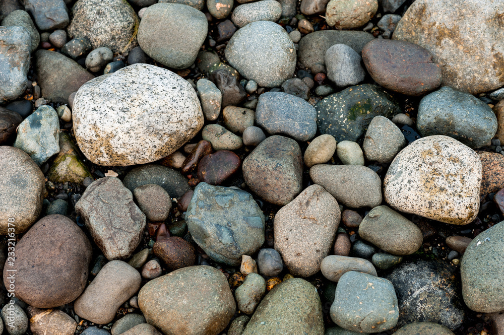 Detail of rocks on a beach Detail of rocks on a beach