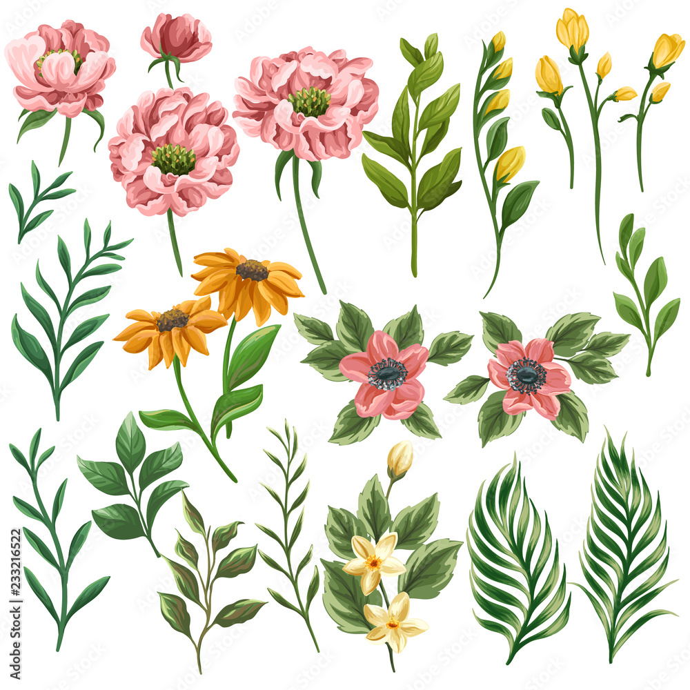 Floral clipart Floral clipart