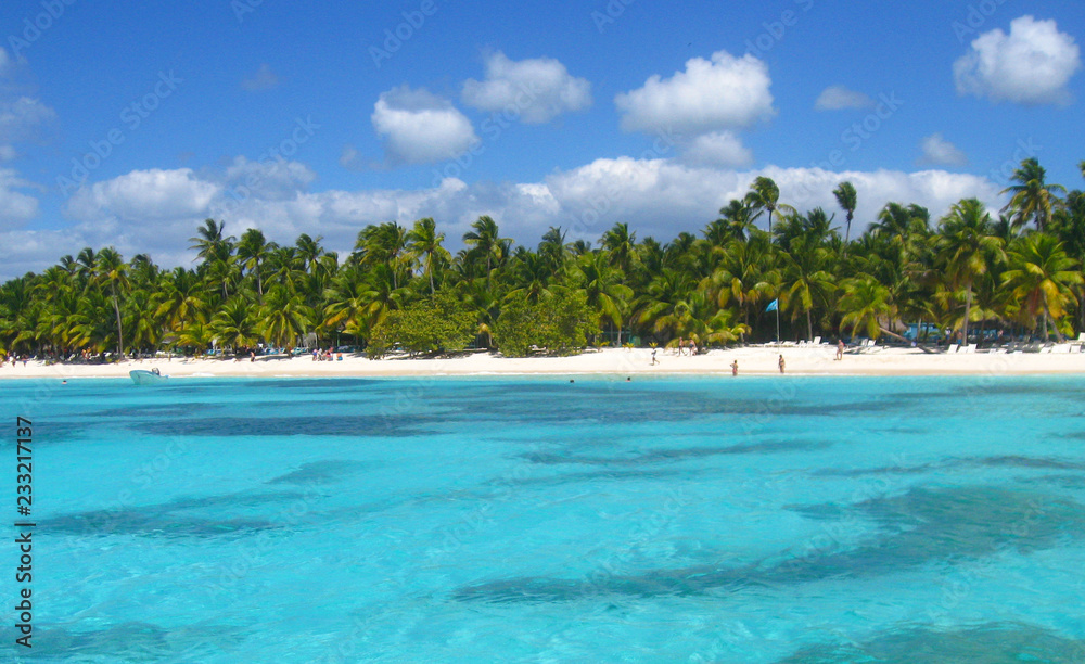 Tropical beach in caribbean sea, Saona island, Dominican Republic