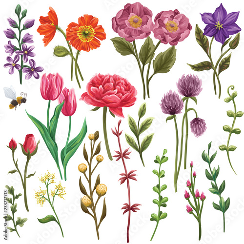 Floral clipart