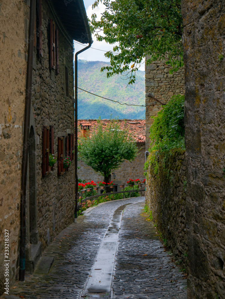 View of trees and plants on an old narrow alley in a small Italian village in the mountains of Tuscany, Italy, in the sun after rain View of trees and plants on an old narrow alley in a small Italian village in the mountains of Tuscany, Italy, in the sun after rain
