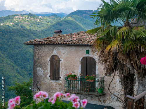 Breathtaking view of a house in front of the green mountains of the countryside of a small Italian village in the mountains of Tuscany, Italy, in the sun after rain, with flowers in the foreground