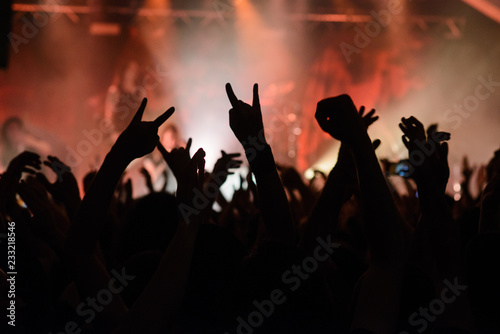 Hand raised showing a heavy metal rock sign photo