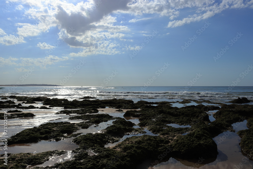 Obraz premium light road