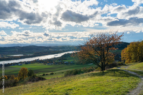 Landschaftsbild mit Donau und Baum
