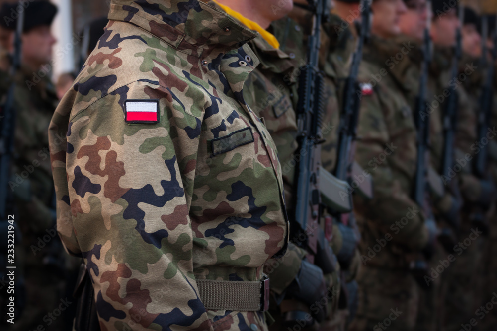 Żołnierze w szeregu
