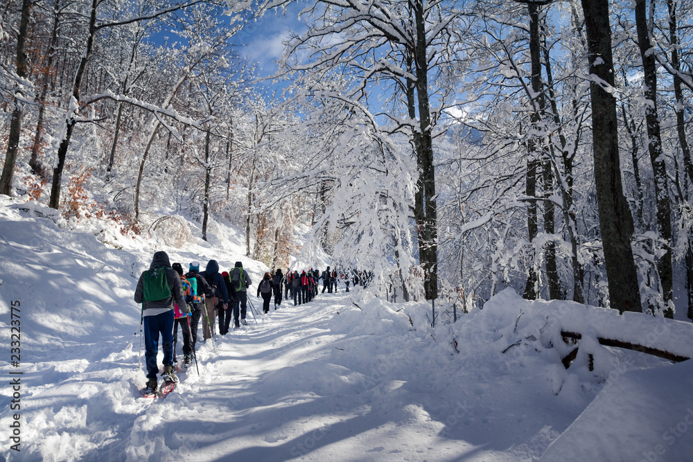 people walking on snow people walking on snow