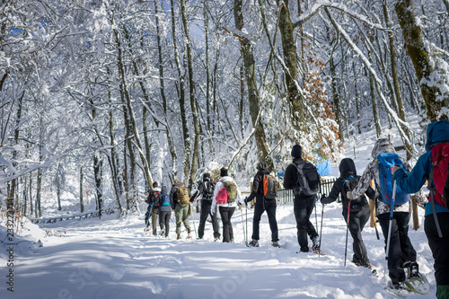 people walking on snow