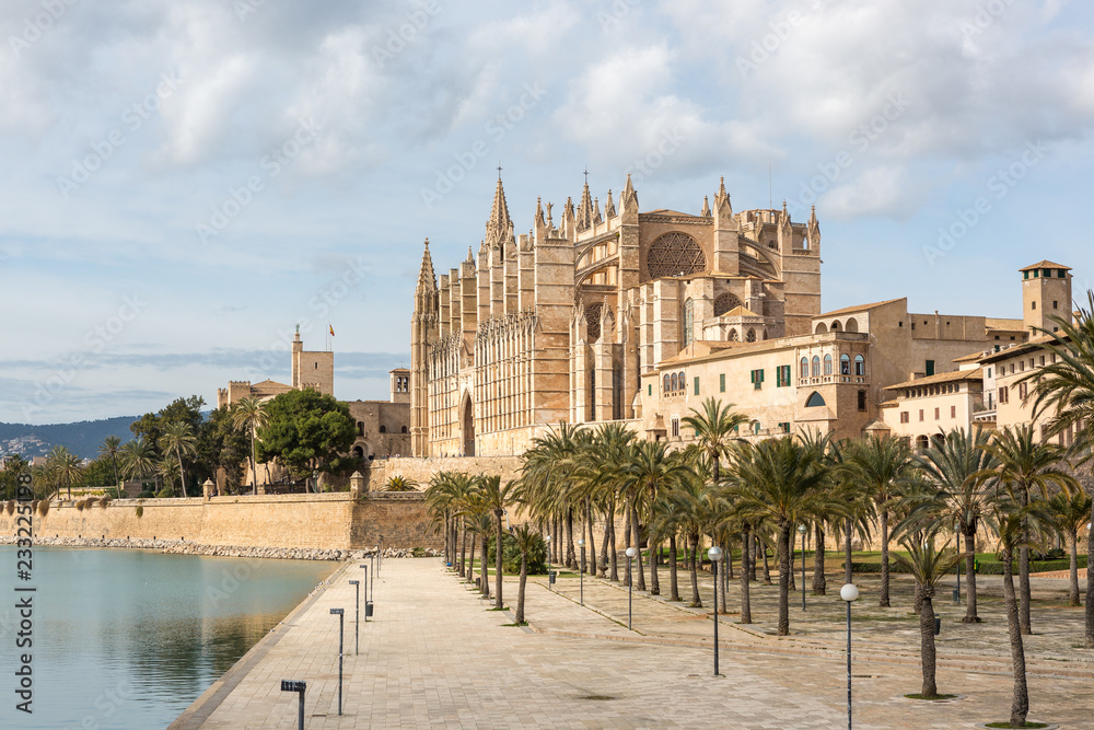 Gotische Kathedrale von Palma, im Vordergrund ein Palmenpark
