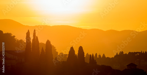 Panorama with Cypress Trees in backlight at sunset
