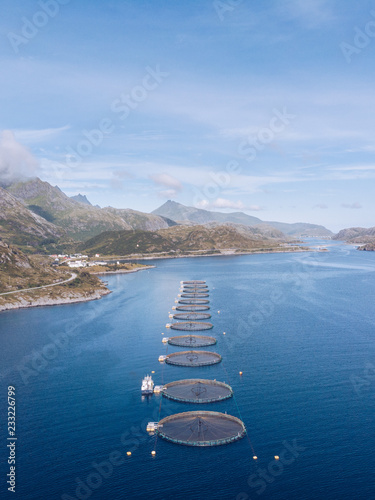 Fish farms in blue water of Lofoten Islands