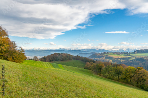 Wanderweg entlang eines Feldes mit Blick auf die Schweizer Alpen