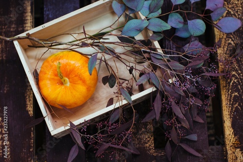 From above shot of wooden box with little pumpkin and eucalyptus branch photo