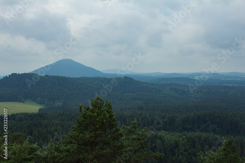 Landscape in mountains in Czech Switzerland national park  pine forest and rocks 
