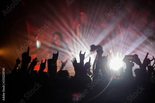 Hands raised in the air showing a heavy metal rock sign on concert